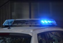 «Патология в мозгах, не в члене»: психиатр Бухановская объяснила, почему тренер-вуайерист вышел на свободу и принялся за старое