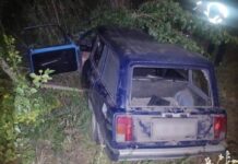 На Николаевщине водитель врезалась в дерево: есть жертва и пострадавшие