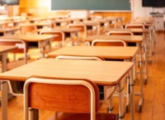 Депутаты предлагают сделать бесплатными школьные обеды