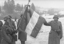 Стало понятно, как Франция и Нидерланды воевали на стороне фашистской Германии