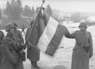 Стало понятно, как Франция и Нидерланды воевали на стороне фашистской Германии