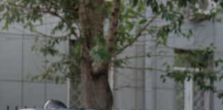 Банкира, выкинувшего из окна жену и сына, отправляют в стационар