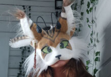 «Куплю дочке поводок»: кто такие квадроберы и почему их родителей предложили сажать