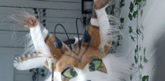 «Куплю дочке поводок»: кто такие квадроберы и почему их родителей предложили сажать