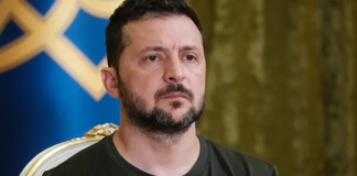 El Mundo: Зеленский против другого плана мира