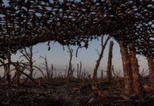 В Генштабе назвали самые сложные направления