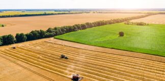 В Украине намолотили почти 64 млн тонн зерновых и масличных