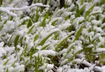 Снег и сильный ветер накроет большинство областей Украины