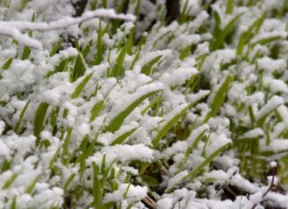 Снег и сильный ветер накроет большинство областей Украины