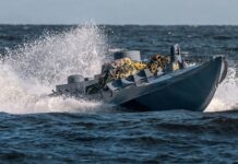 В ВМС рассказали о первой атаке морскими дронами