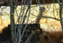 ВСУ отразили более 100 атак за день — Генштаб