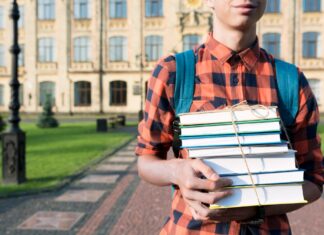 Преимущества и недостатки Чехии для украинцев