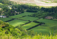 Закон о выдаче денег вместо участка расширили в пользу семей участников СВО