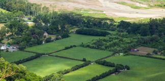 Закон о выдаче денег вместо участка расширили в пользу семей участников СВО