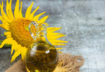 Заливают растворителем: эксперт развенчал мифы о подсолнечном масле