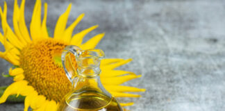 Заливают растворителем: эксперт развенчал мифы о подсолнечном масле
