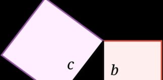 В мире отмечают удивительный праздник, виновником которого стала теорема Пифагора