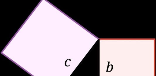 В мире отмечают удивительный праздник, виновником которого стала теорема Пифагора