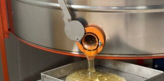 «Пчелы сами выбрали нас»: как живет хабаровская семья пчеловодов