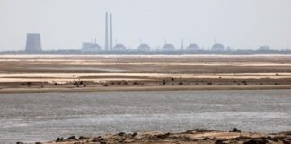 МАГАТЭ заявило о проблемах с водой на Запорожской АЭС