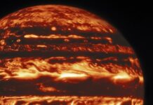 Гороскоп на 20 августа 2025 года: уникальный прогноз для всех знаков зодиака