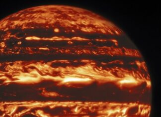 Гороскоп на 20 августа 2025 года: уникальный прогноз для всех знаков зодиака