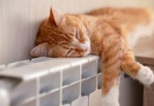 Стало известно, когда включат отопление в Украине