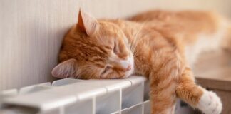 Стало известно, когда включат отопление в Украине