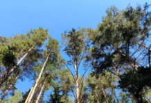 17 сентября 2025: что можно, а что нельзя делать