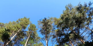 17 сентября 2025: что можно, а что нельзя делать