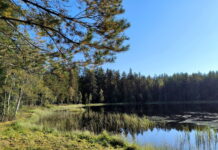 12 сентября: что можно и чего нельзя делать в день Александра Сытника