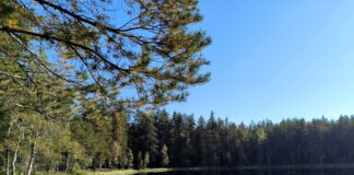 12 сентября: что можно и чего нельзя делать в день Александра Сытника