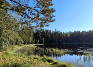 12 сентября: что можно и чего нельзя делать в день Александра Сытника