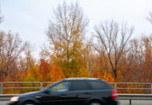 8 октября: что можно, что нельзя делать в День Сергия Радонежского