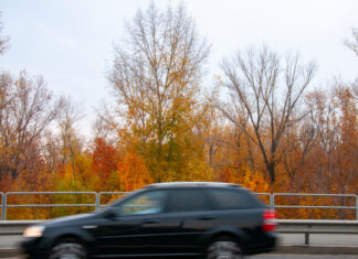 8 октября: что можно, что нельзя делать в День Сергия Радонежского