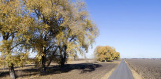 Что можно и что нельзя делать 5 ноября в Яков день