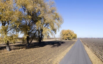 Что можно и что нельзя делать 5 ноября в Яков день