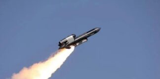 В Генштабе рассказали, когда впервые запустили Фламинго