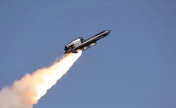 В Генштабе рассказали, когда впервые запустили Фламинго