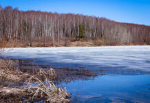 Что можно, а что нельзя делать 19 ноября в день Павла Ледостава