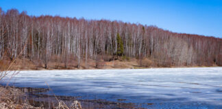Что можно, а что нельзя делать 19 ноября в день Павла Ледостава