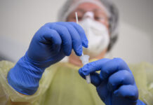 Вспышку африканской чумы в европейской стране связали с утечкой вируса из лаборатории