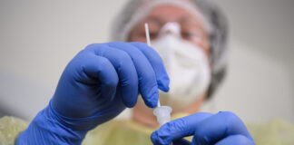 Вспышку африканской чумы в европейской стране связали с утечкой вируса из лаборатории