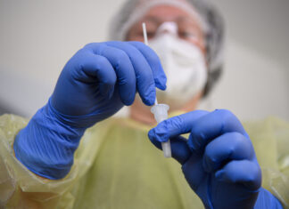 Вспышку африканской чумы в европейской стране связали с утечкой вируса из лаборатории