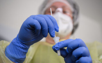 Вспышку африканской чумы в европейской стране связали с утечкой вируса из лаборатории