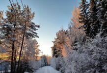 Что можно, а что нельзя делать 3 декабря на Прокла Константинопольского