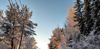 Что можно, а что нельзя делать 3 декабря на Прокла Константинопольского