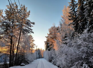 Что можно, а что нельзя делать 3 декабря на Прокла Константинопольского