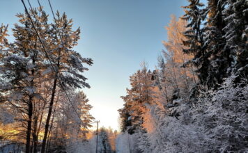 Что можно, а что нельзя делать 3 декабря на Прокла Константинопольского