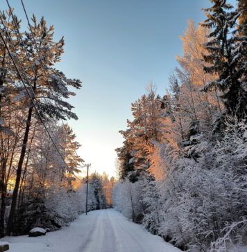 Что можно, а что нельзя делать 3 декабря на Прокла Константинопольского